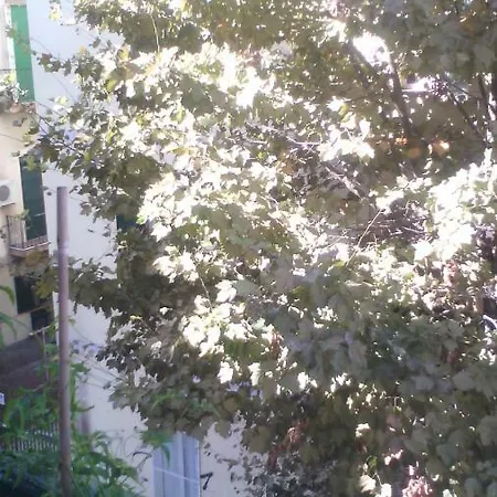 Luce Di Naples